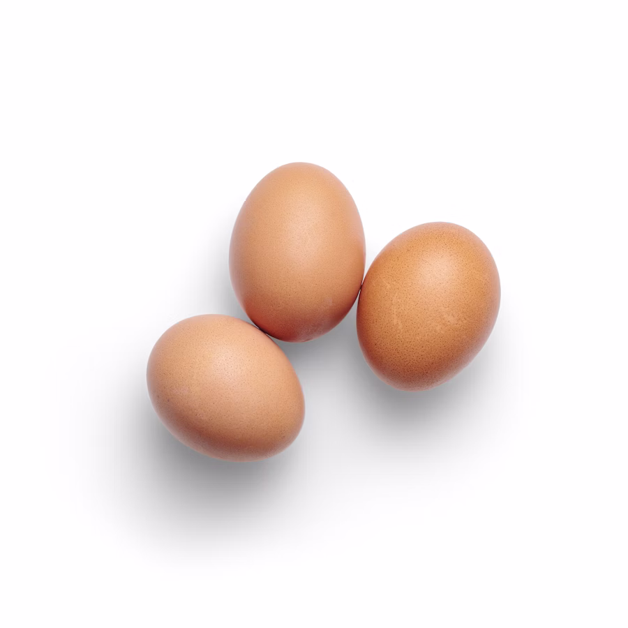 Vezë të freskëta